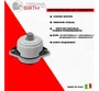 Coxim Motor Esquerdo Mercedes