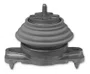 Coxim Motor Jaguar