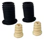 Kit Amortecedor Batente Coifa BMW X1